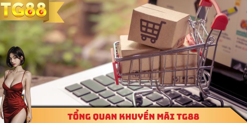 Tổng quan khuyến mãi TG88